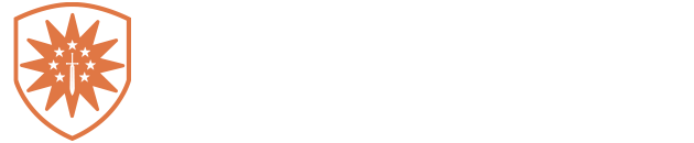 Remnant Platform | 2.0 - Logo and versions number